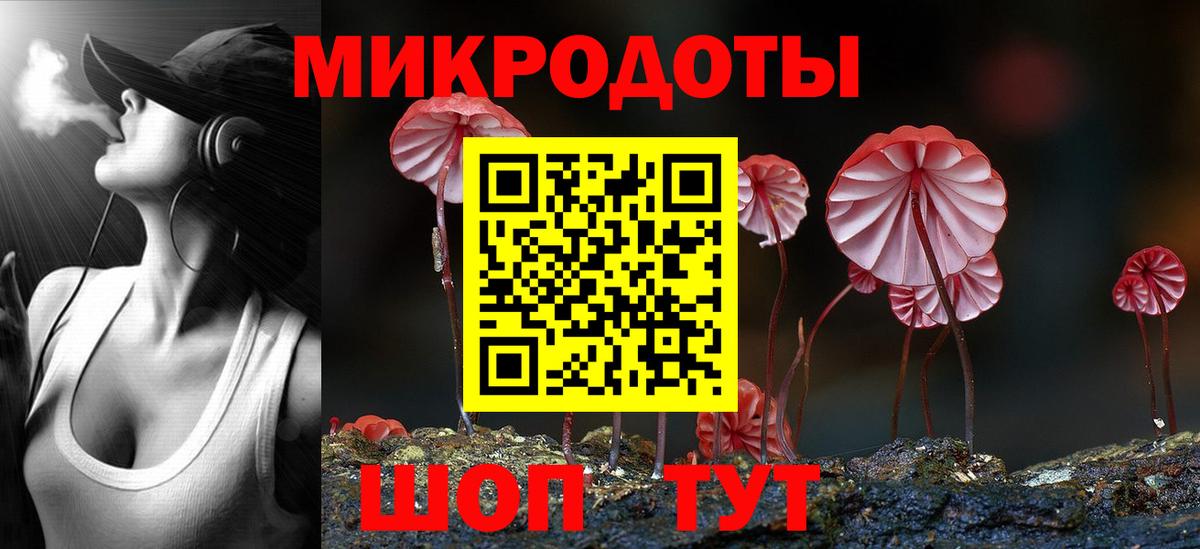 Галлюциногенные грибы мицелий Кингисепп