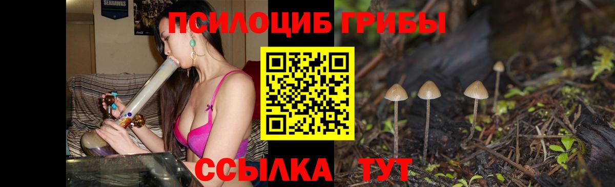 где купить наркотик  Вход с VPN  Псилоцибиновые грибы ЛСД  Кингисепп  Галлюциногенные грибы Magic Shrooms 