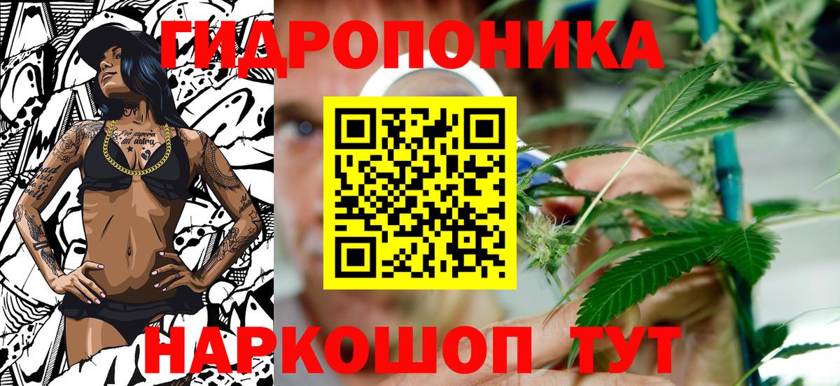 Бошки Шишки марихуана Кингисепп